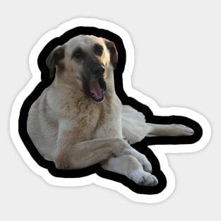 Kangal Dog Yawning Vector Cut Out Sticker